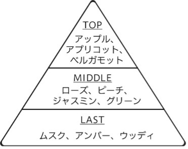 図:フレグランスピラミッド(香りの構成)
