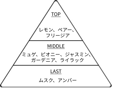 図:フレグランスピラミッド(香りの構成)