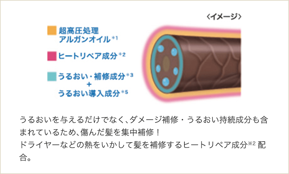 ダメージ集中ケア処方
