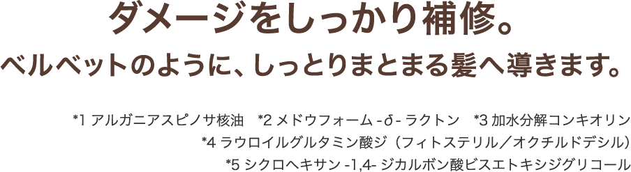 ダメージをしっかり補修。