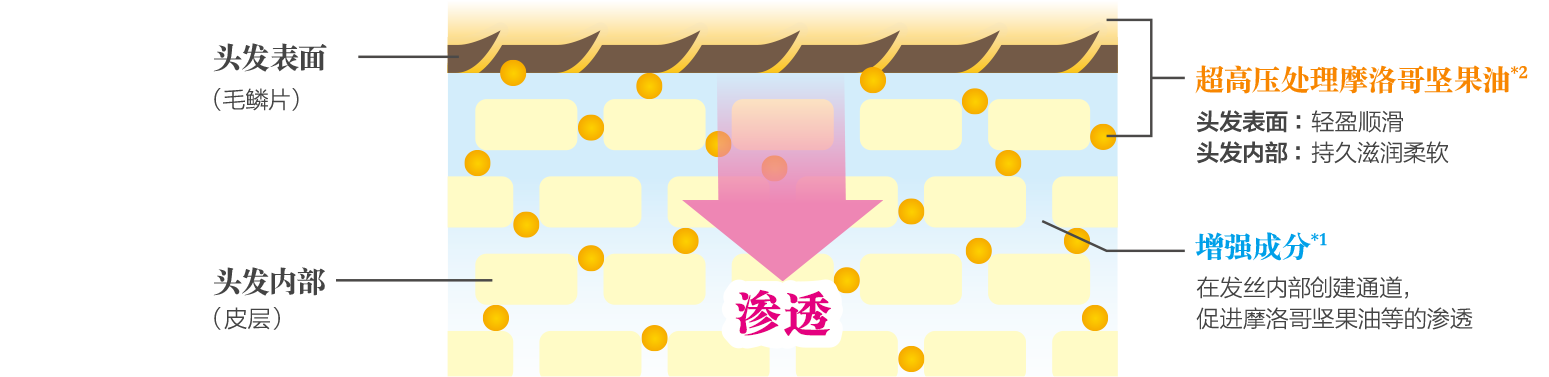 渗透