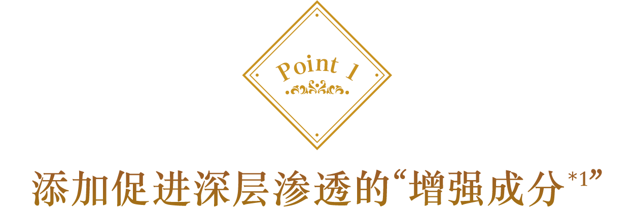 Point 1 添加促进深层渗透的“增强成分*1”
