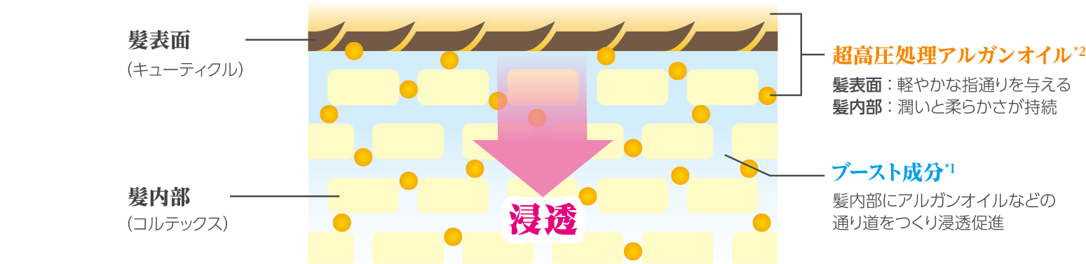 浸透イメージ
