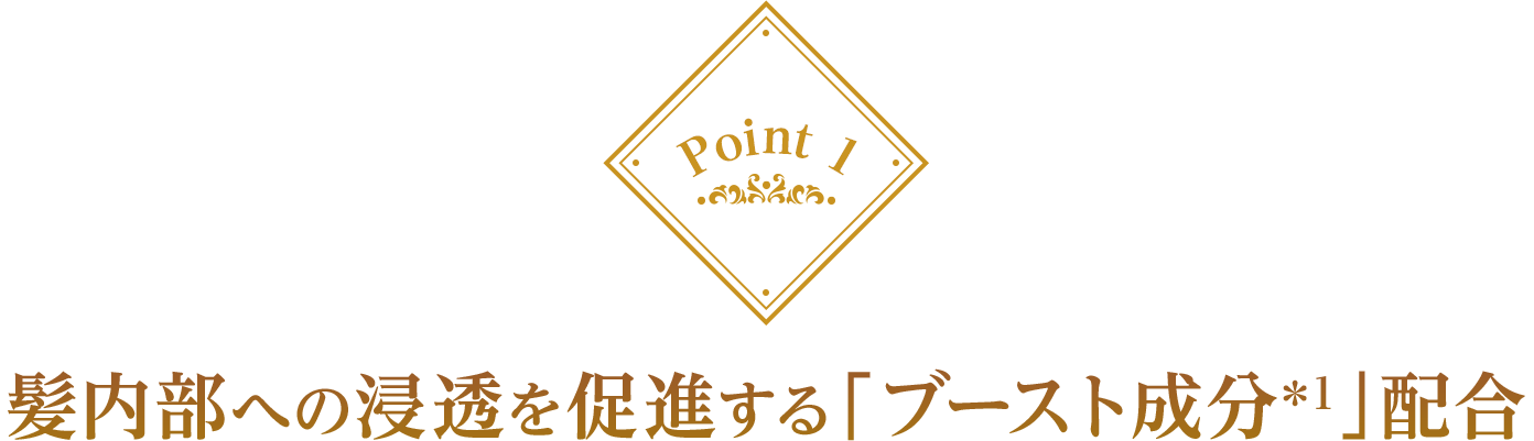 Point 1 髪内部への浸透を促進する「ブースト成分*1」配合
