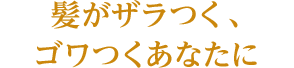 髪がザラつく、ゴワつくあなたに