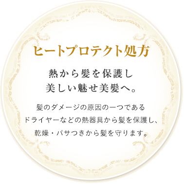 ヒートプロテクト処方 熱から髪を保護し美しい魅せ美髪へ。
