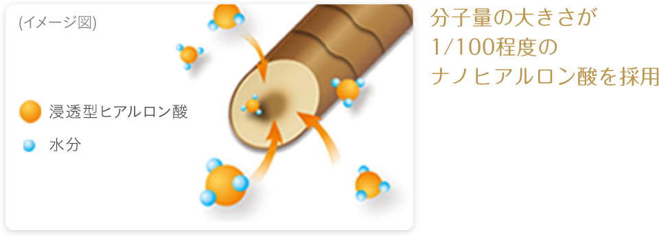 分子量の大きさが1/100程度のナノヒアルロン酸を採用